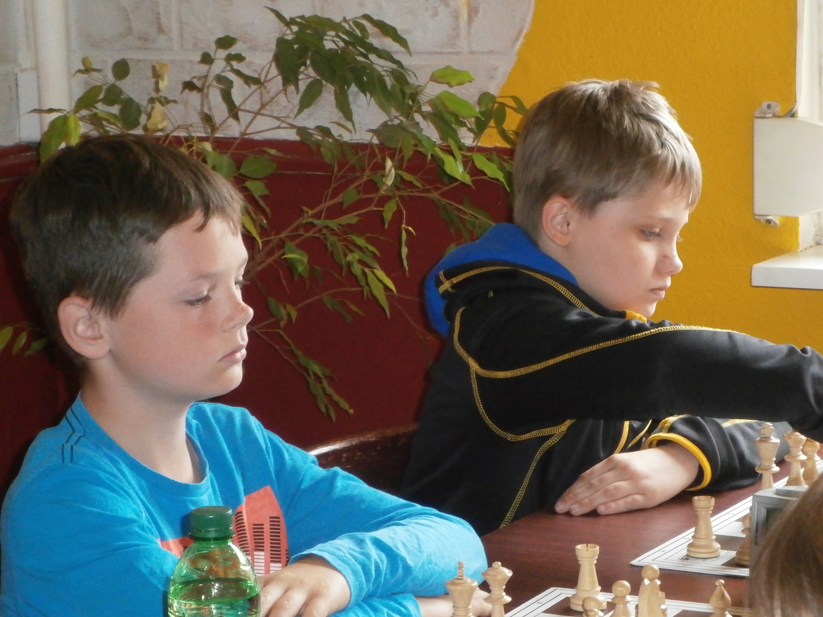 Vorschau
